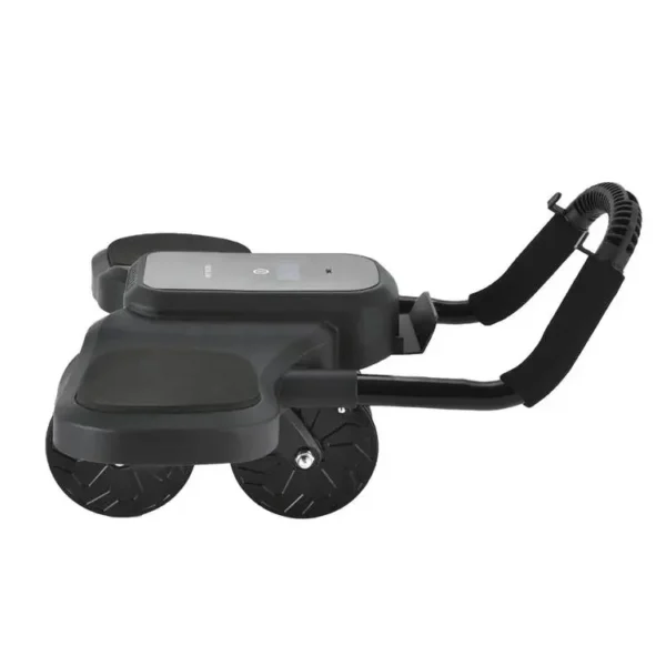 Green Lion ABS Exercise Roller